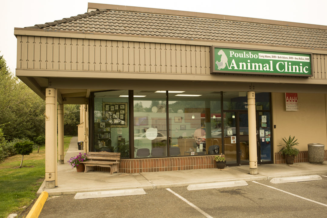 Mystery Member Poulsbo Animal Clinic Poulsbo Chamber of